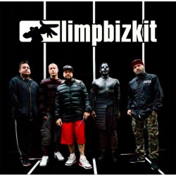 วงร็อคระดับเทพตอนที่ 1 “ Limp bizkit ”